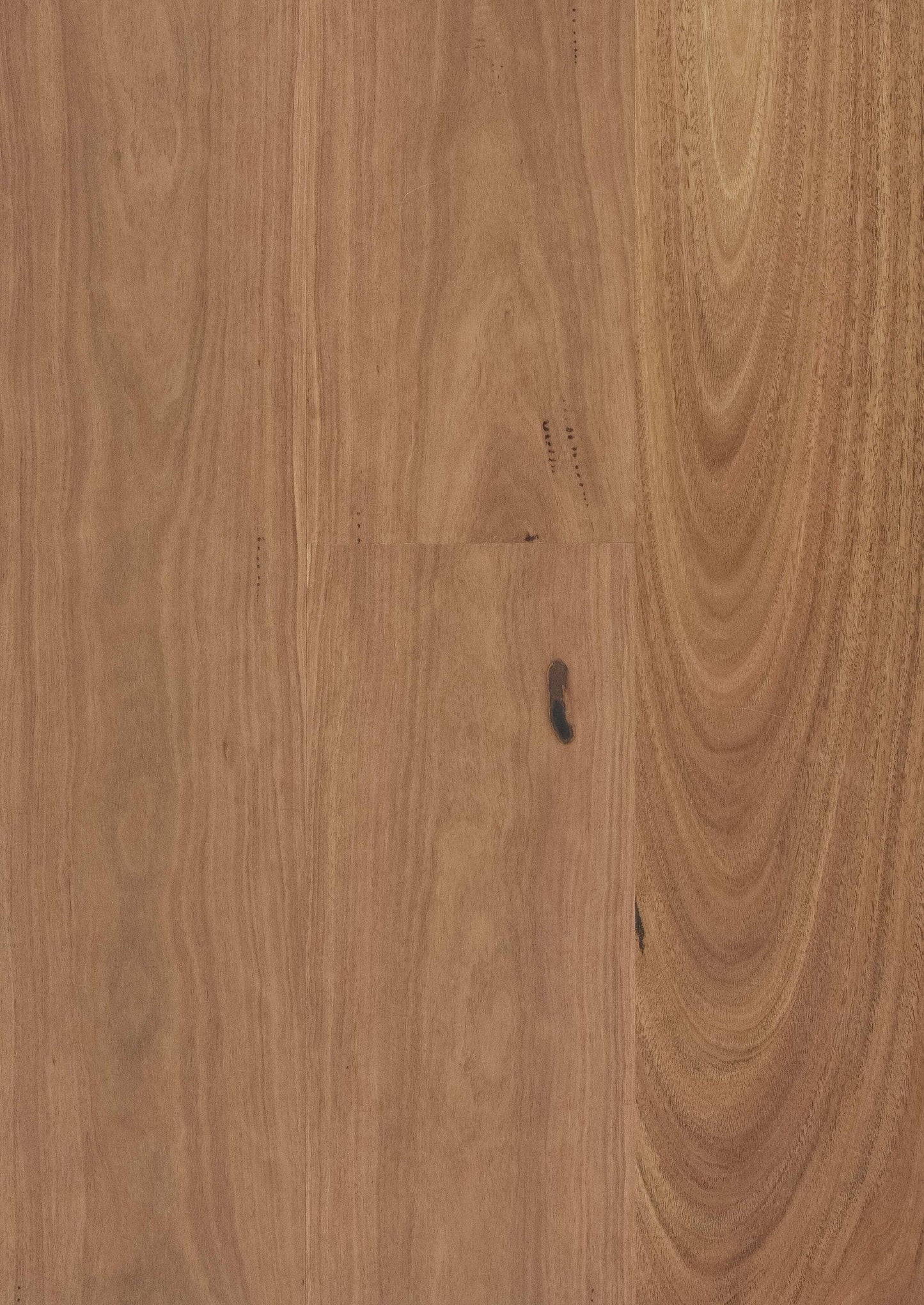 Engineered Timber Australian Hardwood (Spotted Gum)