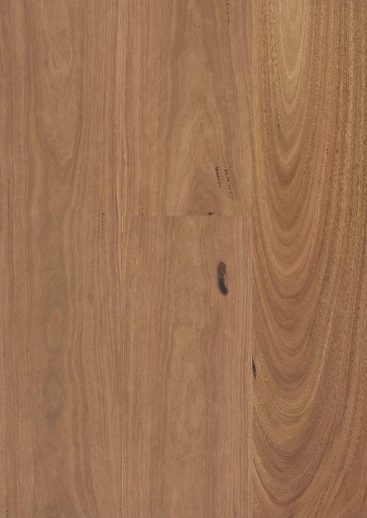 Engineered Timber Australian Hardwood (Spotted Gum)